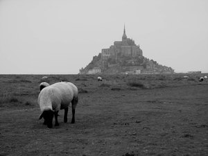 Les prés salès - Mont St Michel