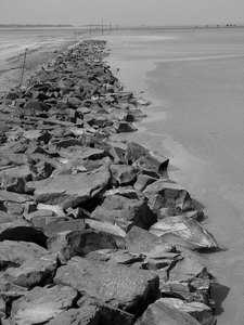 Chemin de pierres en marée basse - Normandie